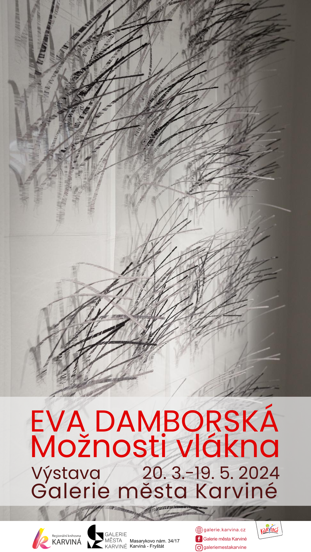 Eva DAMBORSKÁ - Možnosti vlákna