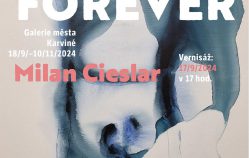 Výstava "FOREVER" - Milan CIESLAR